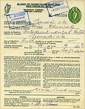 Driving Licence