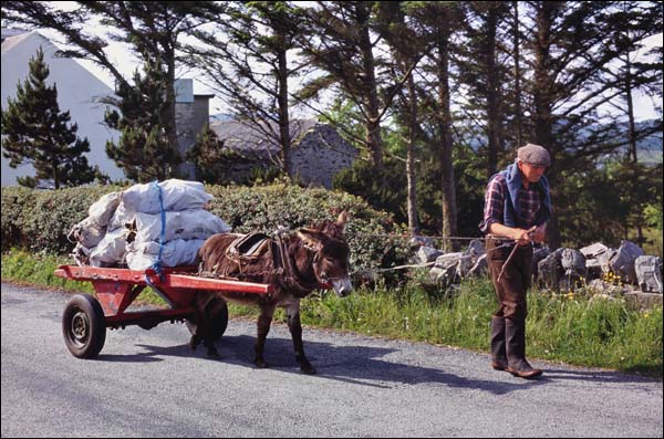 Mann mit Torfkarren in Tullycross, © 1995 Juergen Kullmann