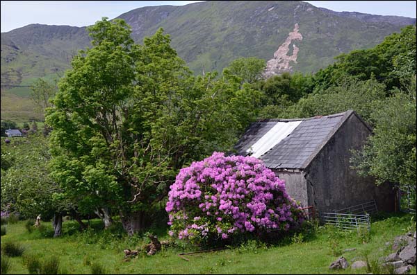 Gleann na nGeimhleach, County Galway, © 2012 Juergen Kullmann