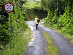 Geschwindigkeitsbegrenzung in Irland, © Juergen Kullmann