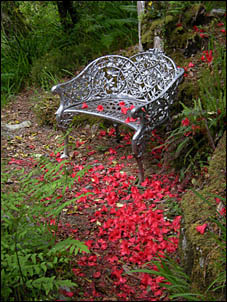Glenveagh Garden, Co. Donegal, © 2010 Juergen Kullmann