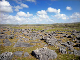 Burren, © 2011 Juergen Kullmann