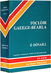 Irisches Wörterbuch