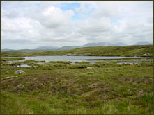 Derrygilma Bog, © 2006 Gisela Dresbach