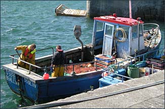 Cleggan Harbour, © 2010 Juergen Kullmann