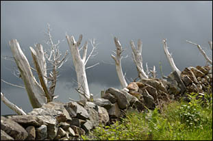 Cleggan Peninsula, © 2012 Juergen Kullmann