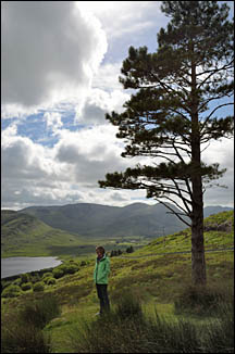 Tawnyard Lough Co. Mayo, © 2016 Juergen Kullmann