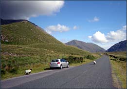 von Louisburgh nach Leenaun, © 2008 Juergen Kullmann