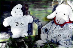 Boo und Eileen in Irland